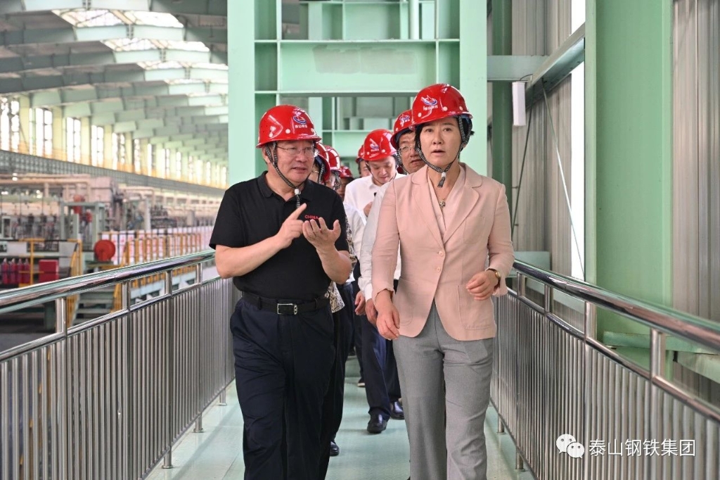 副市长杨丽到金沙js9线路中心集团调研指导工作